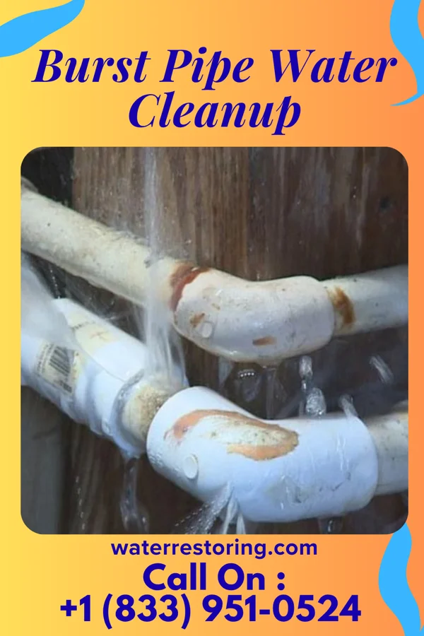 Burst Pipe Water Cleanup in Blue Clay Farms, NC