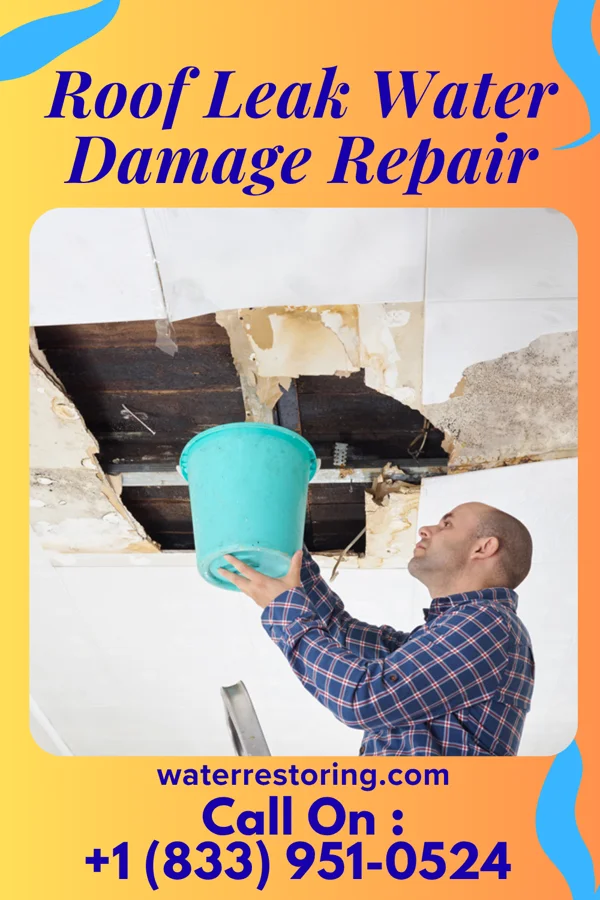 Roof Leak Water Damage Repair in Blue Clay Farms, NC