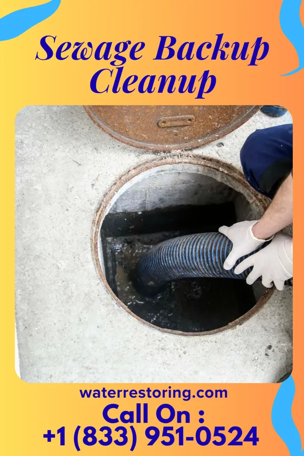 Sewage Backup Cleanup in Blue Clay Farms, NC
